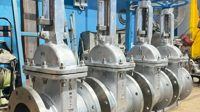 Gate Valves