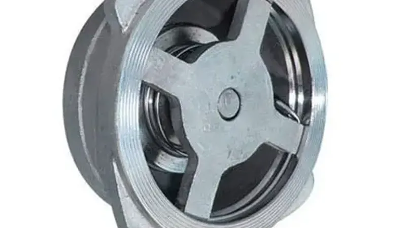 Non-Slam Disc Check Valve
