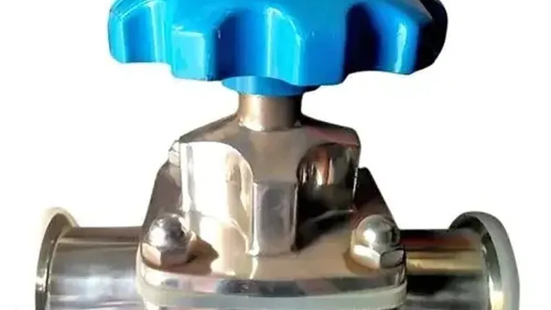 SS Diaphragm Valve