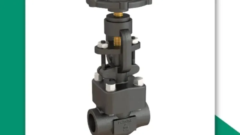 Forged Steel Globe Valve