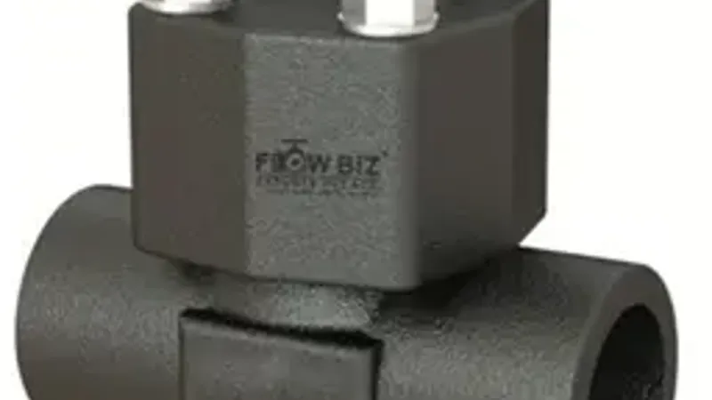 FlowBiz Forged Steel Lift Check Valve