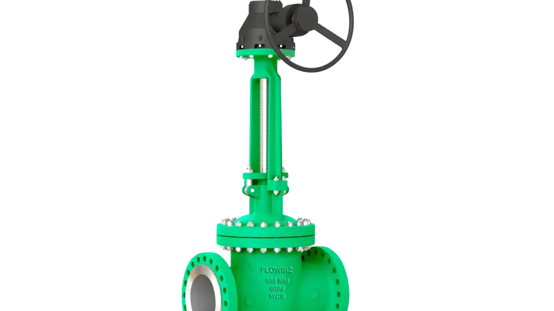 ibr gate valve manufacturer india - Flowbiz