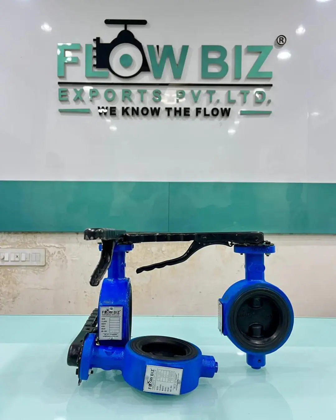 Butterfly Valve Manufacturer India | FlowBiz Exports