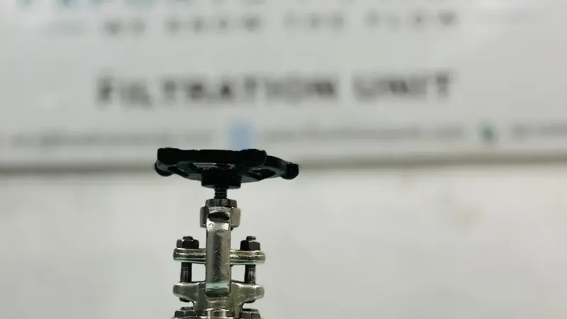 FORGED STEEL GATE VALVE
