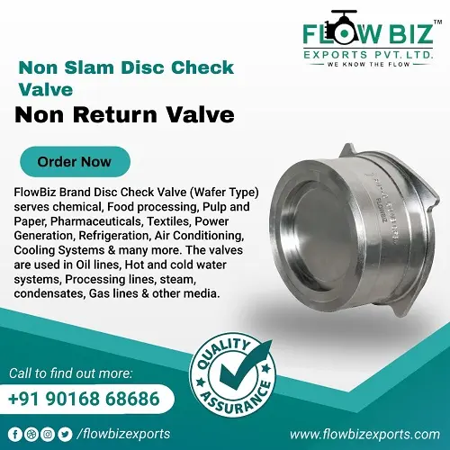 disc check valve manufacturer india - Flowbiz Brand