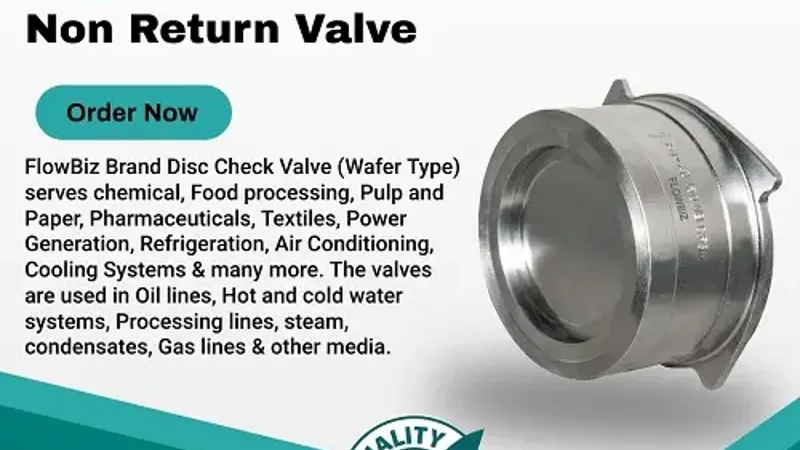 disc check valve manufacturer india - Flowbiz Brand