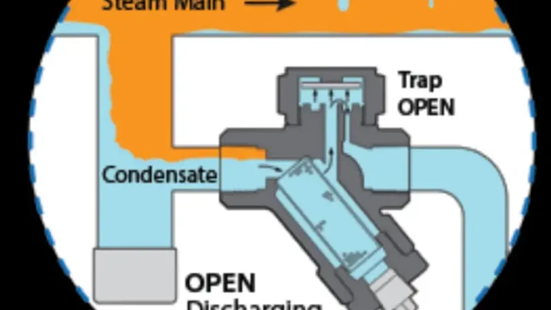 steam trap valve manufacturer india - Flowbiz