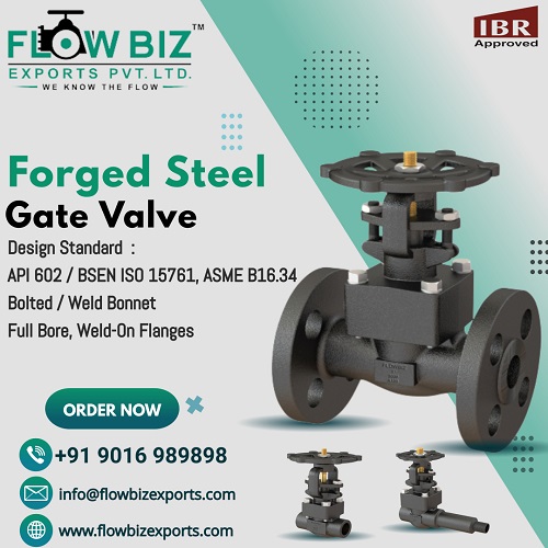 Forged Steel Gate Valve 