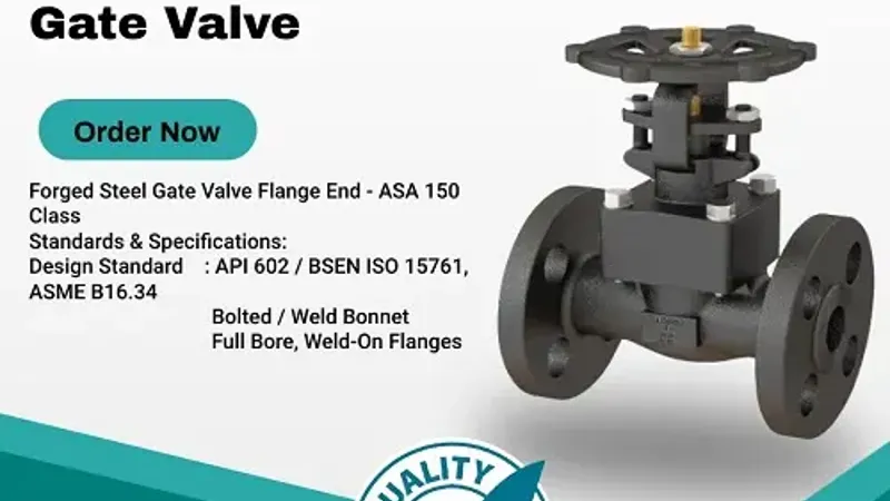 best quality forged steel gate valve manufacturer india - Flowbiz
