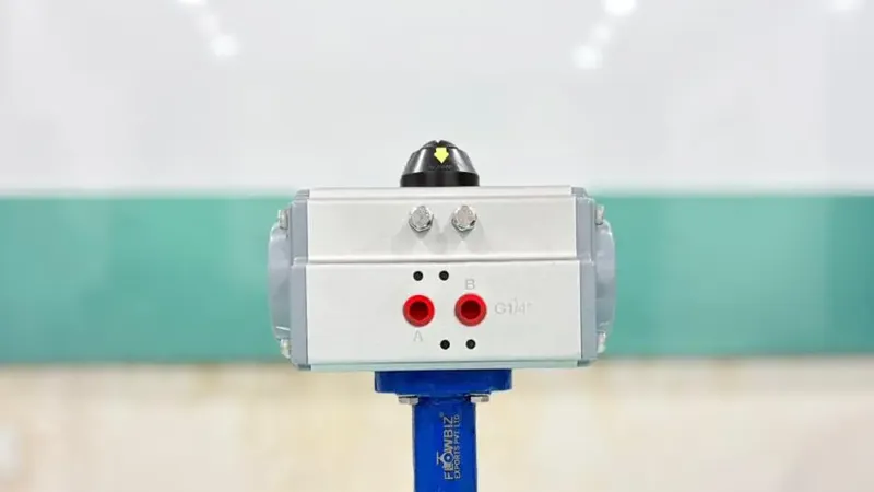 FlowBiz pneumatic operated butterfly valve assembly for industrial flow automation.