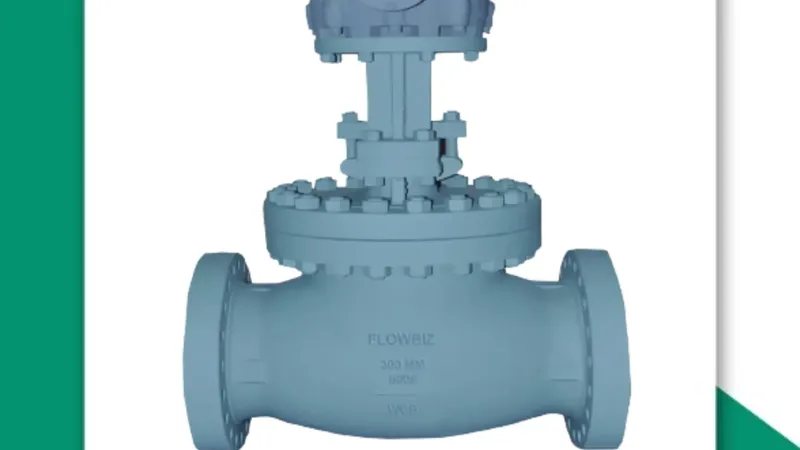 Globe Valve Manufacturer in Pune