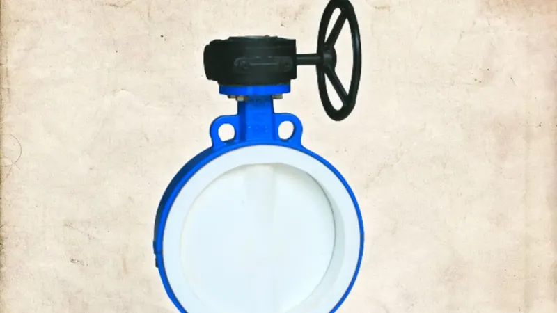 pfe lined butterfly valve manufacturer mumbai - Flowbiz