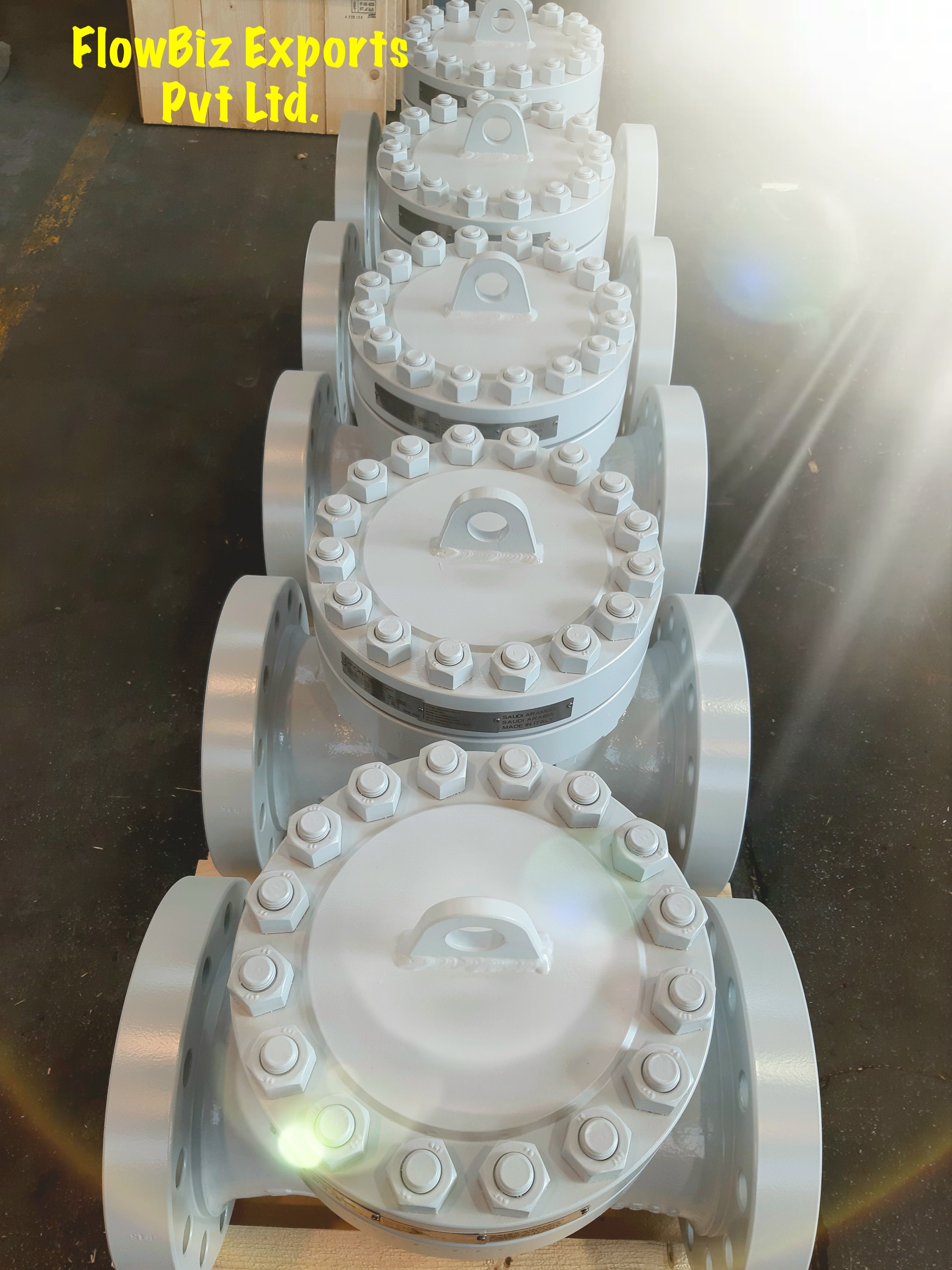 a reliable and efficient nrv valves manufacturer india - Flowbiz