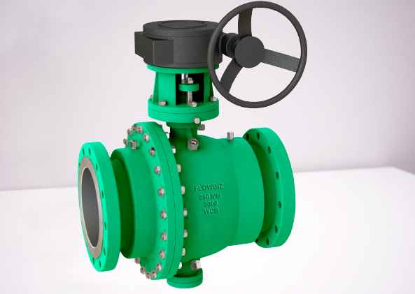 Trunnion Mounted Ball Valve Manufacturer - FlowBiz