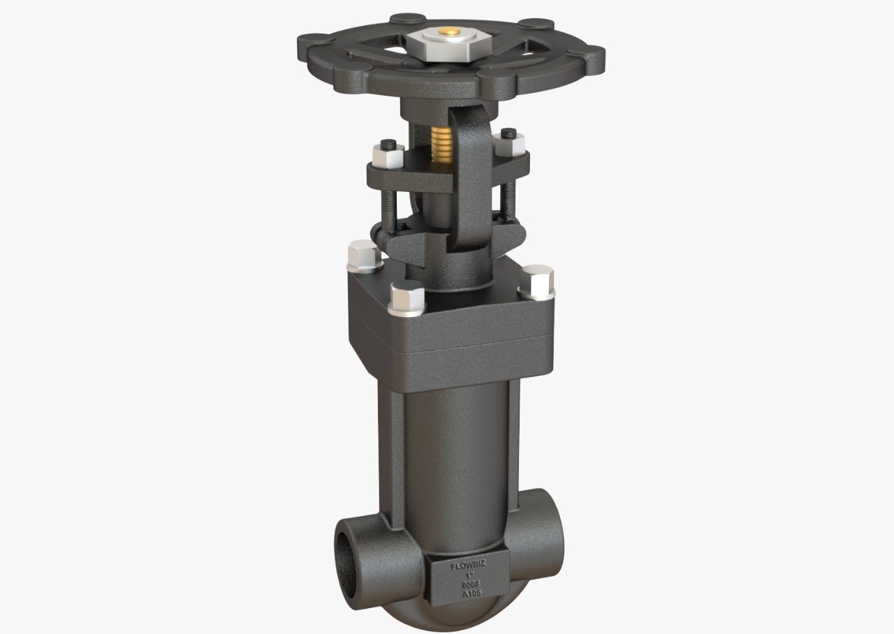 forged globe valve manufacturer india - Flowbiz