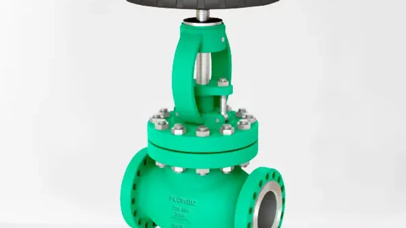 FlowBiz Cast Steel Globe Valve