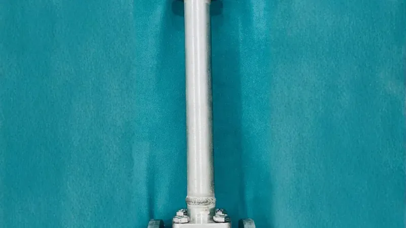 Gate Valve for Cryogenic Services