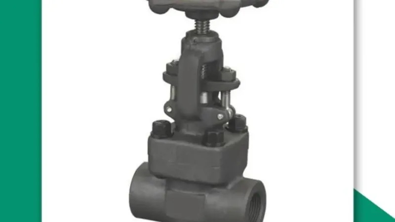 globe valve manufacturer ahmedabad - Flowbiz