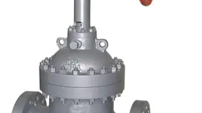 FlowBiz Pressure Slab Gate Valve