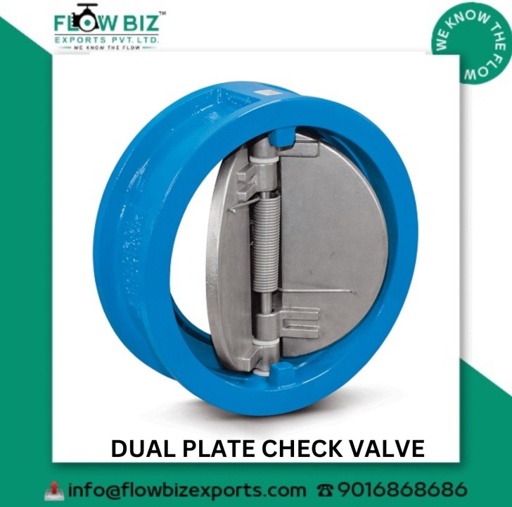 Dual Plate Check Valve, Check Valve