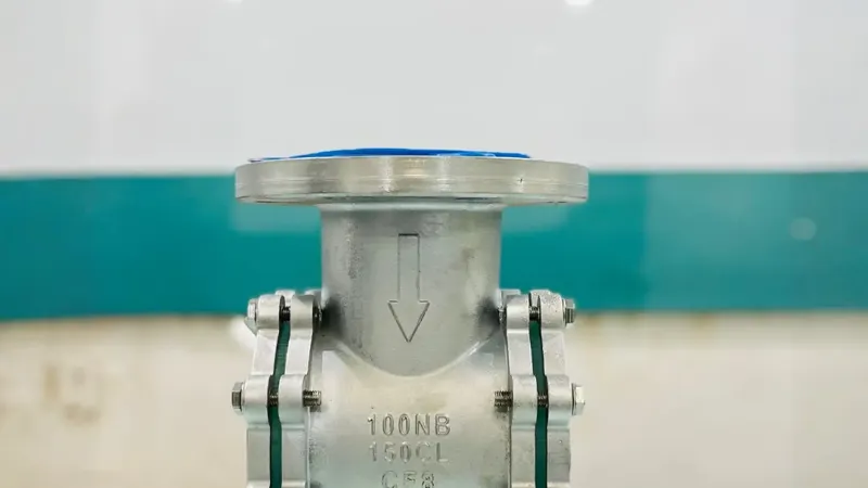 FlowBiz flanged double window sight glass with premium Teflon liner for chemical pipelines.