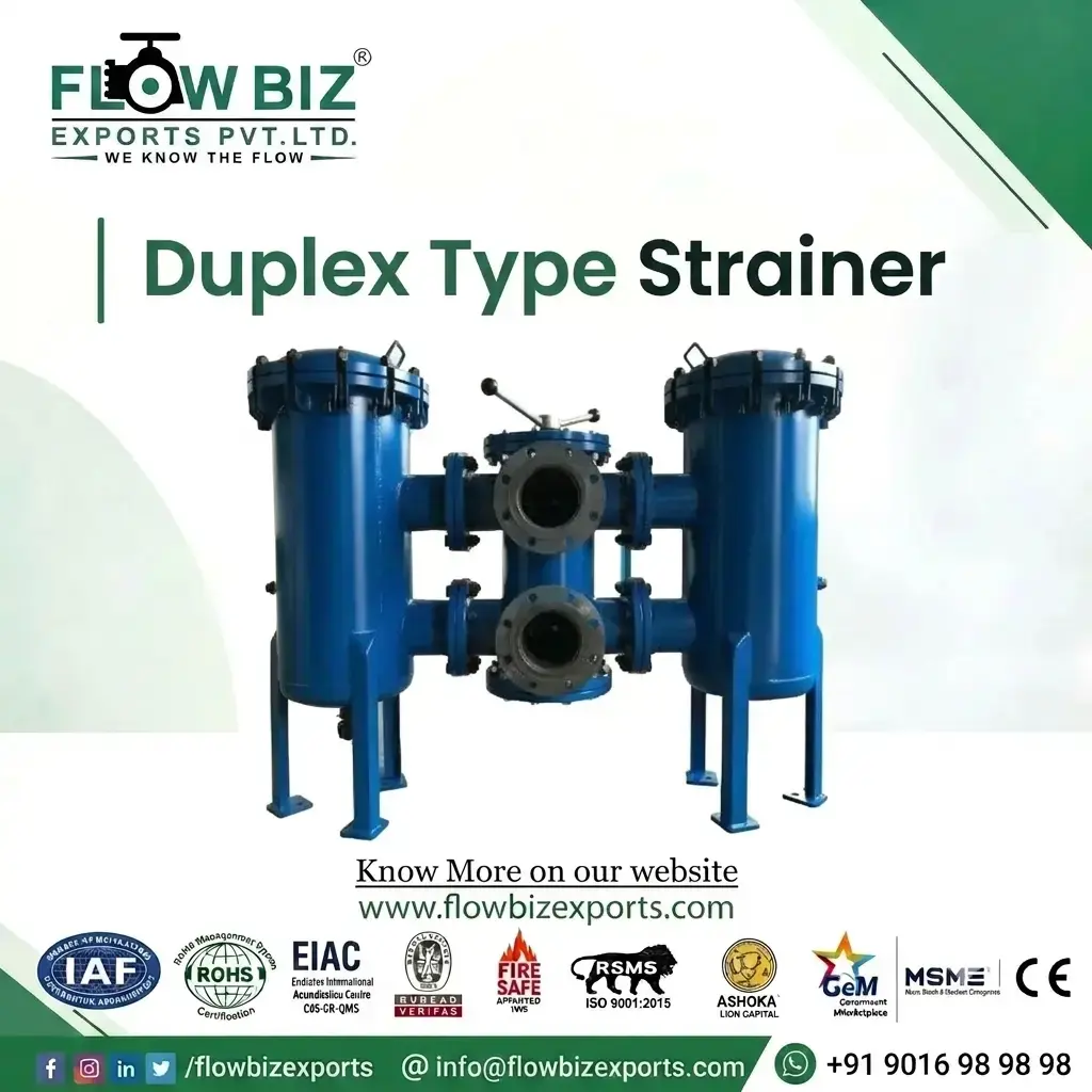 Duplex Type Strainer