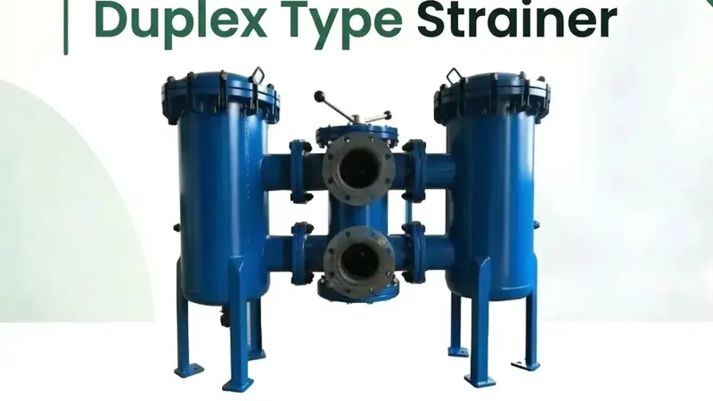 Duplex Type Strainer