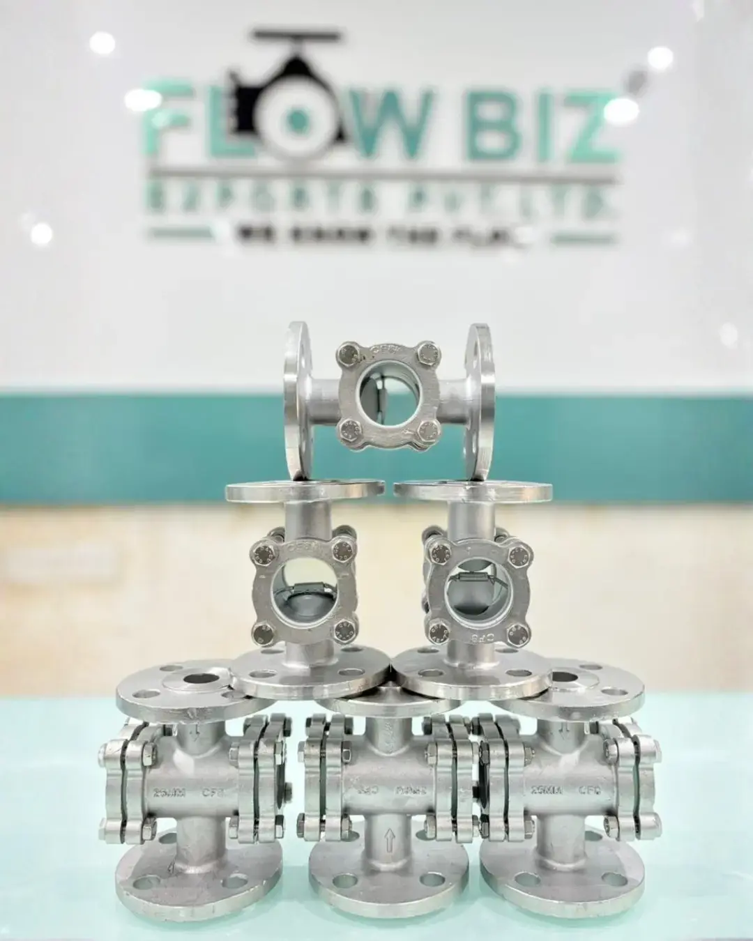 Flapper Type Sight Glass Manufacturer India | FlowBiz Exports