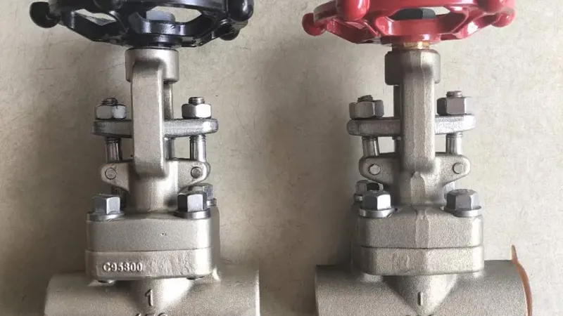 Forged Steel Globe Valve