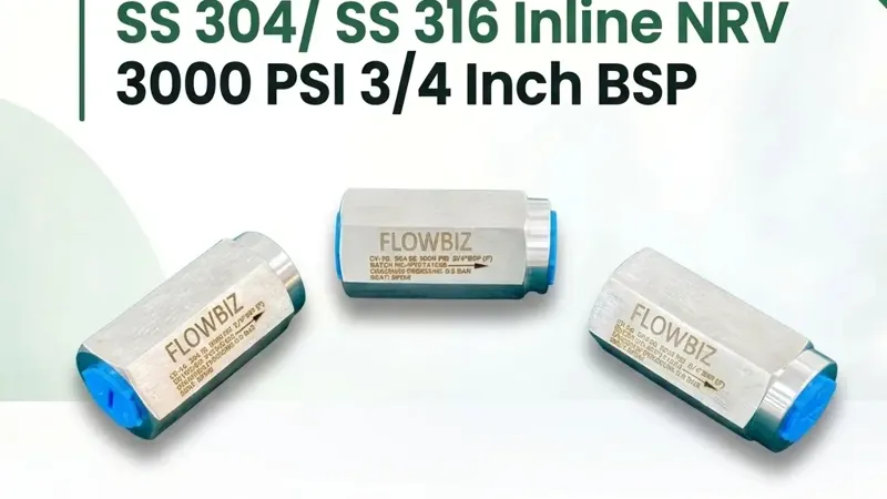 FlowBiz Exports SS 304 SS 316 Inline NRV 3000 PSI 3/4 Inch BSP stainless steel check valve