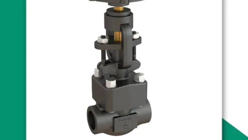 forged steel globe valve manufacturer pune - Flowbiz