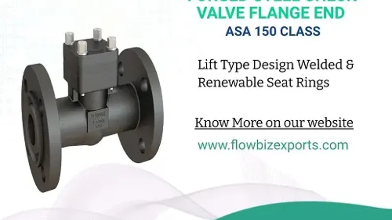 forged steel check valve manufacturer india - Flowbiz