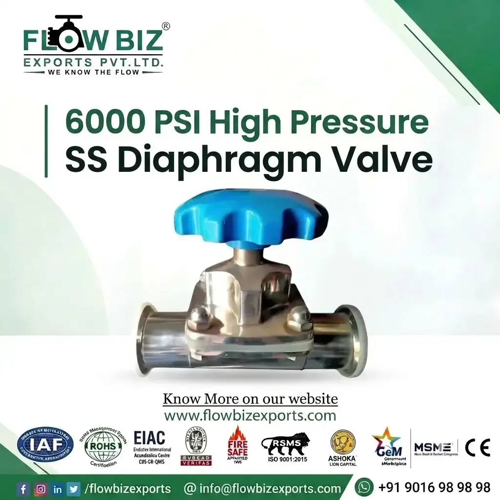SS Diaphragm Valve 