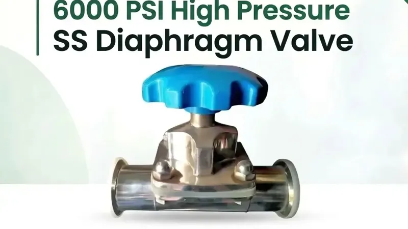 SS Diaphragm Valve