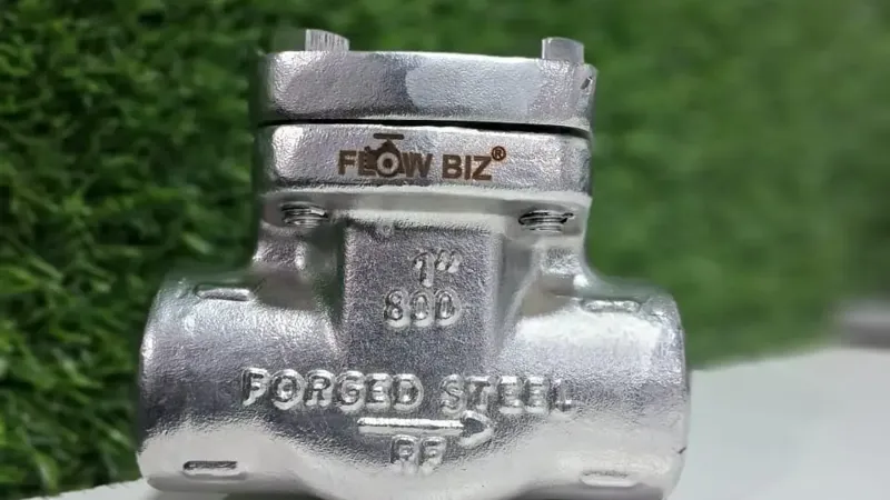 Forged Steel Lift Check Valve - Flowbiz
