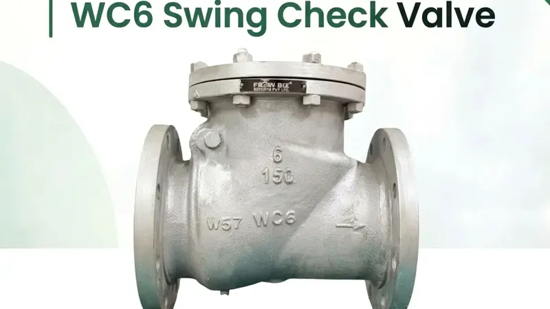 WC6 Swing Check Valve