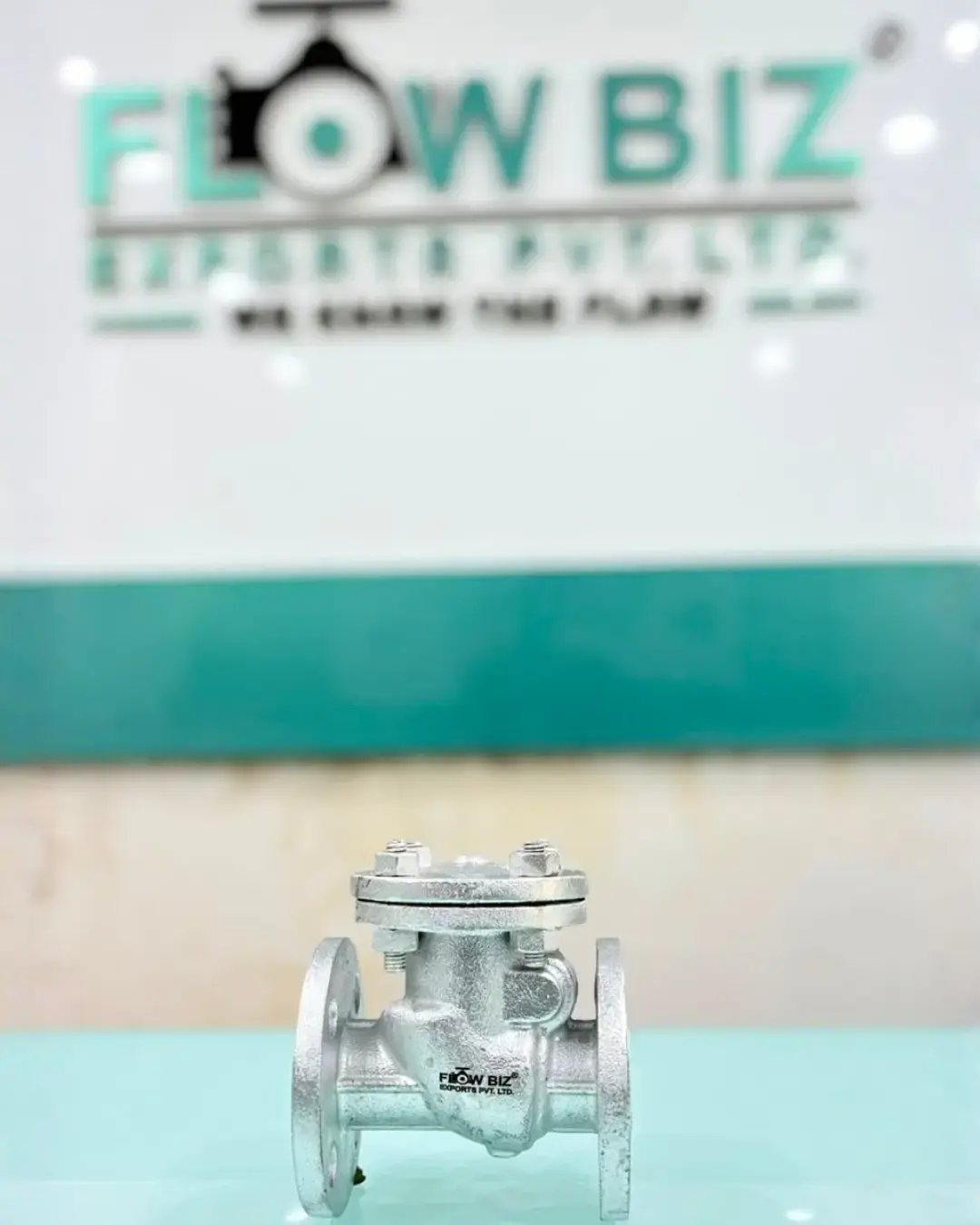 FlowBiz Exports industrial cast steel swing check valve with a flanged non-return body and bolted bonnet, finished in a silver anti-corrosive coating.