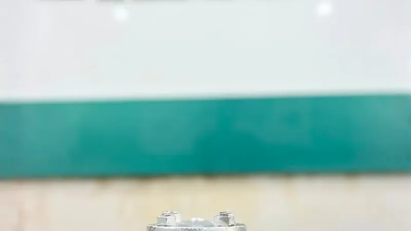 FlowBiz Exports industrial cast steel swing check valve with a flanged non-return body and bolted bonnet, finished in a silver anti-corrosive coating.
