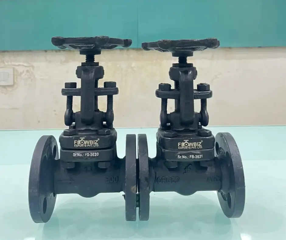 Forged Steel Valve Manufacturer India | FlowBiz Exports