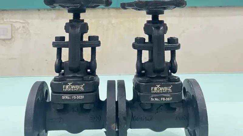 Forged Steel Valve Manufacturer India | FlowBiz Exports