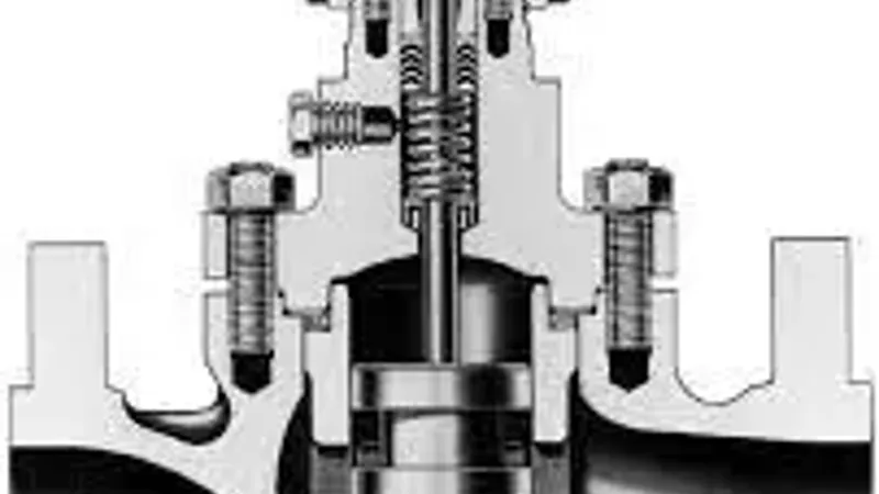 FlowBiz Control Valves