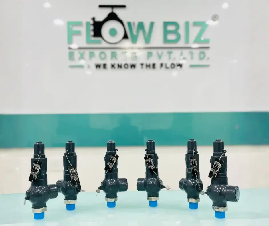 Safety Relief Valve