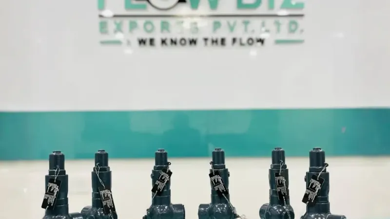 Safety Relief Valve