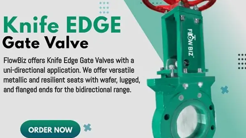 knife gate valve manufacturer india - Flowbiz