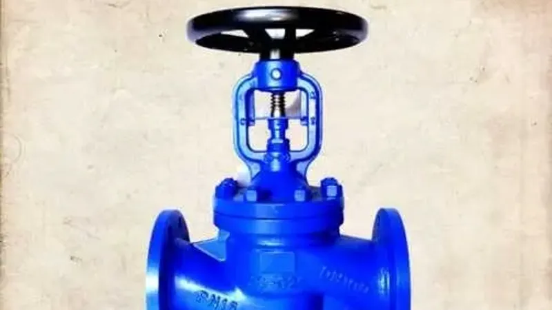 Globe Valve ND-40