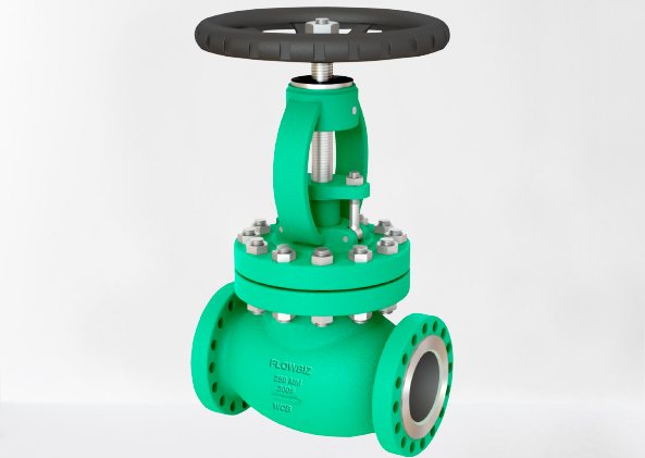 FlowBiz Cast Steel Globe Valve