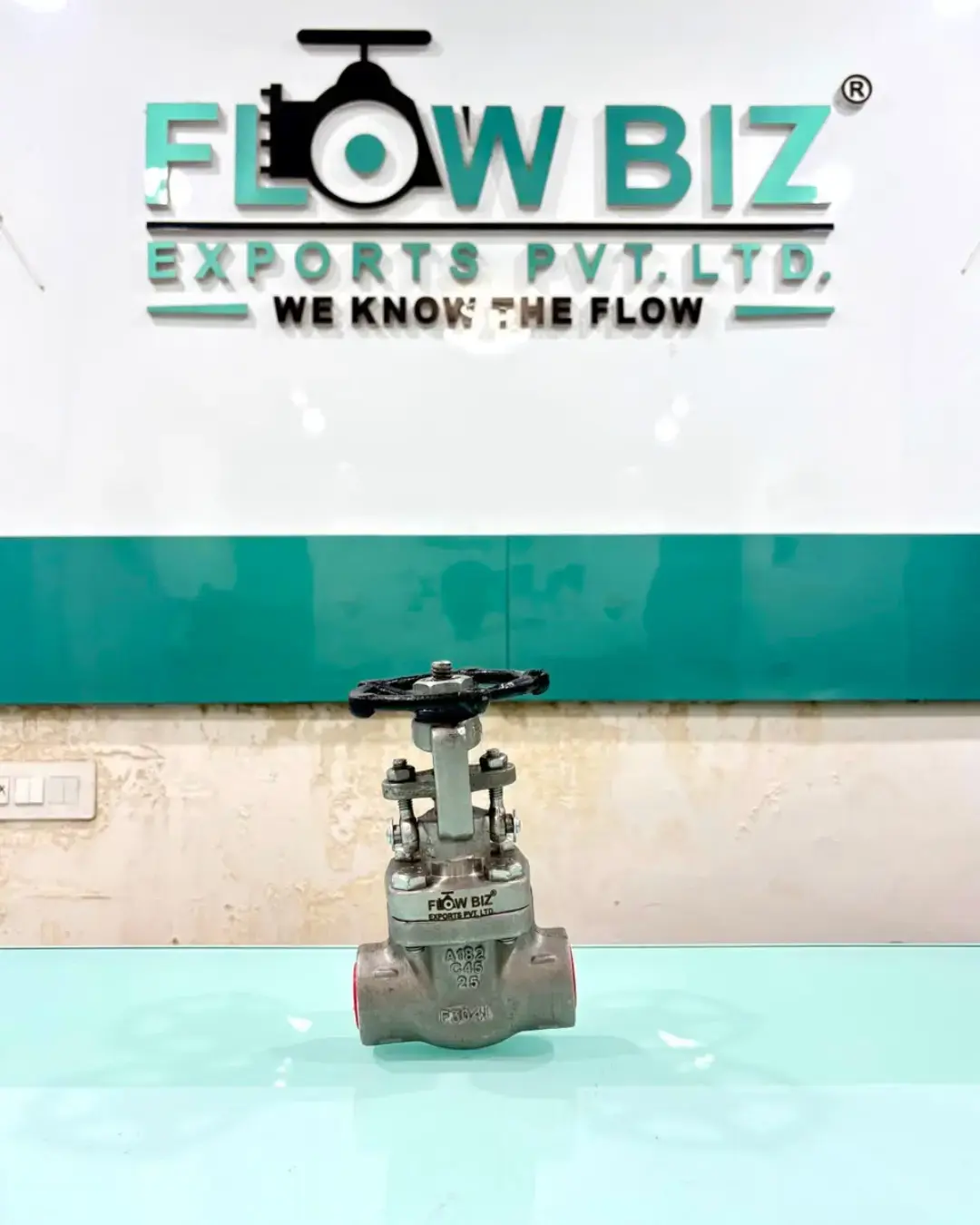 ndustrial Flanged Gate Valve Manufacturer India