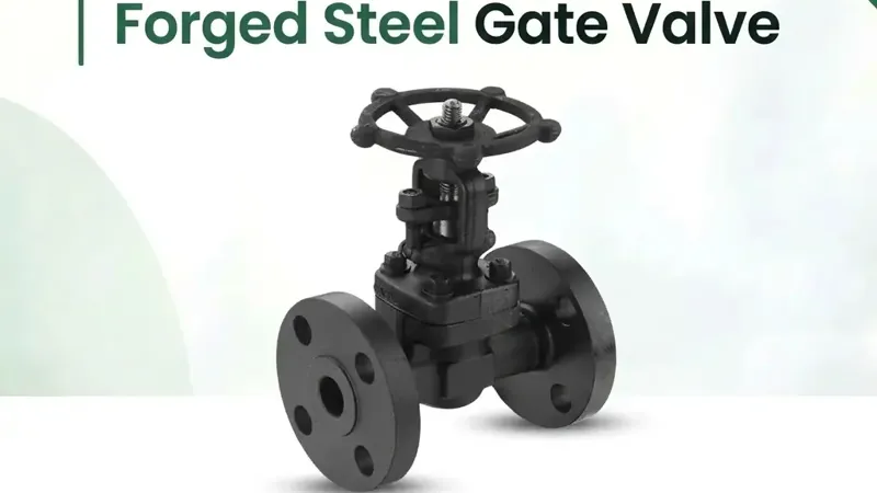 Forged Steel Gate Valve