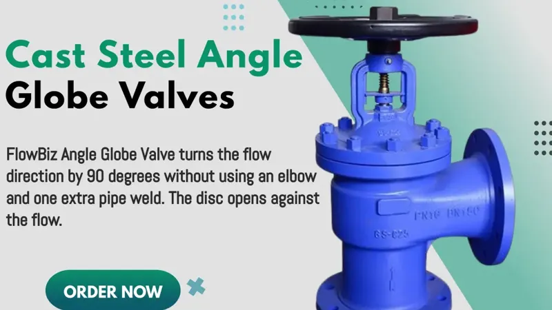 cs angle type globe valve manufacturer india - Flowbiz