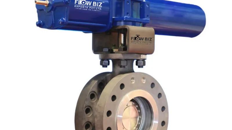 spherical disc butterfly valve manufacturer india - Flowbz